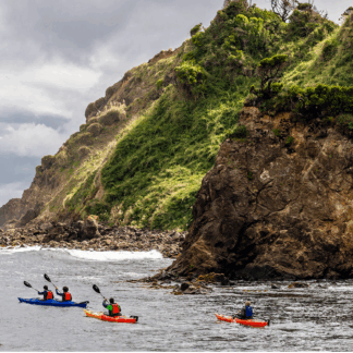 Imagen destacada blog-01