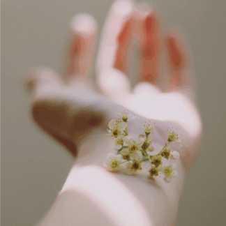 Imagen destacada blog-02