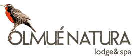 logo-olmuenatura-horizontal-e1492792041301