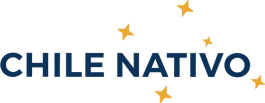 Chile nativo
