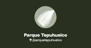 Parque Tepuhueico