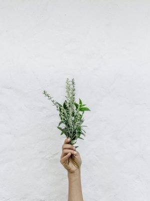 nordwood-themes-FnOoRU-PYio-unsplash