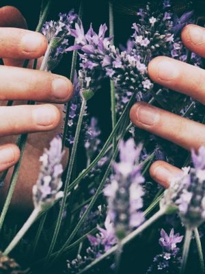 vero-photoart-9OflqNWhcrE-unsplash